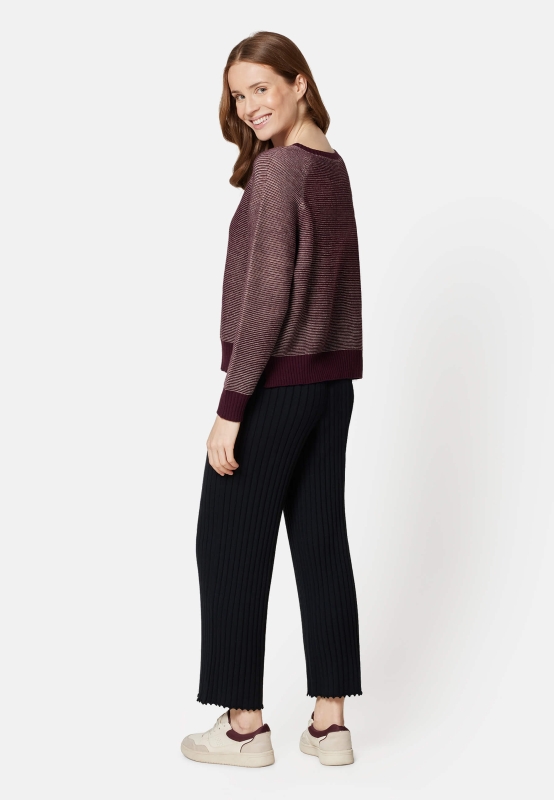 Pulli-Bicolor