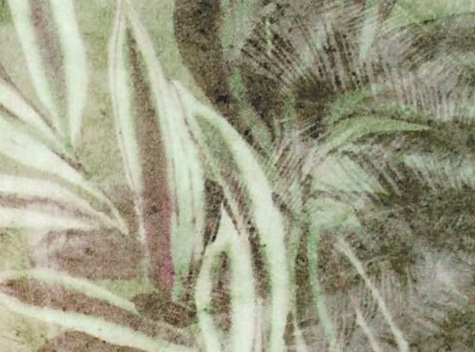 green druck