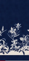 druck navy