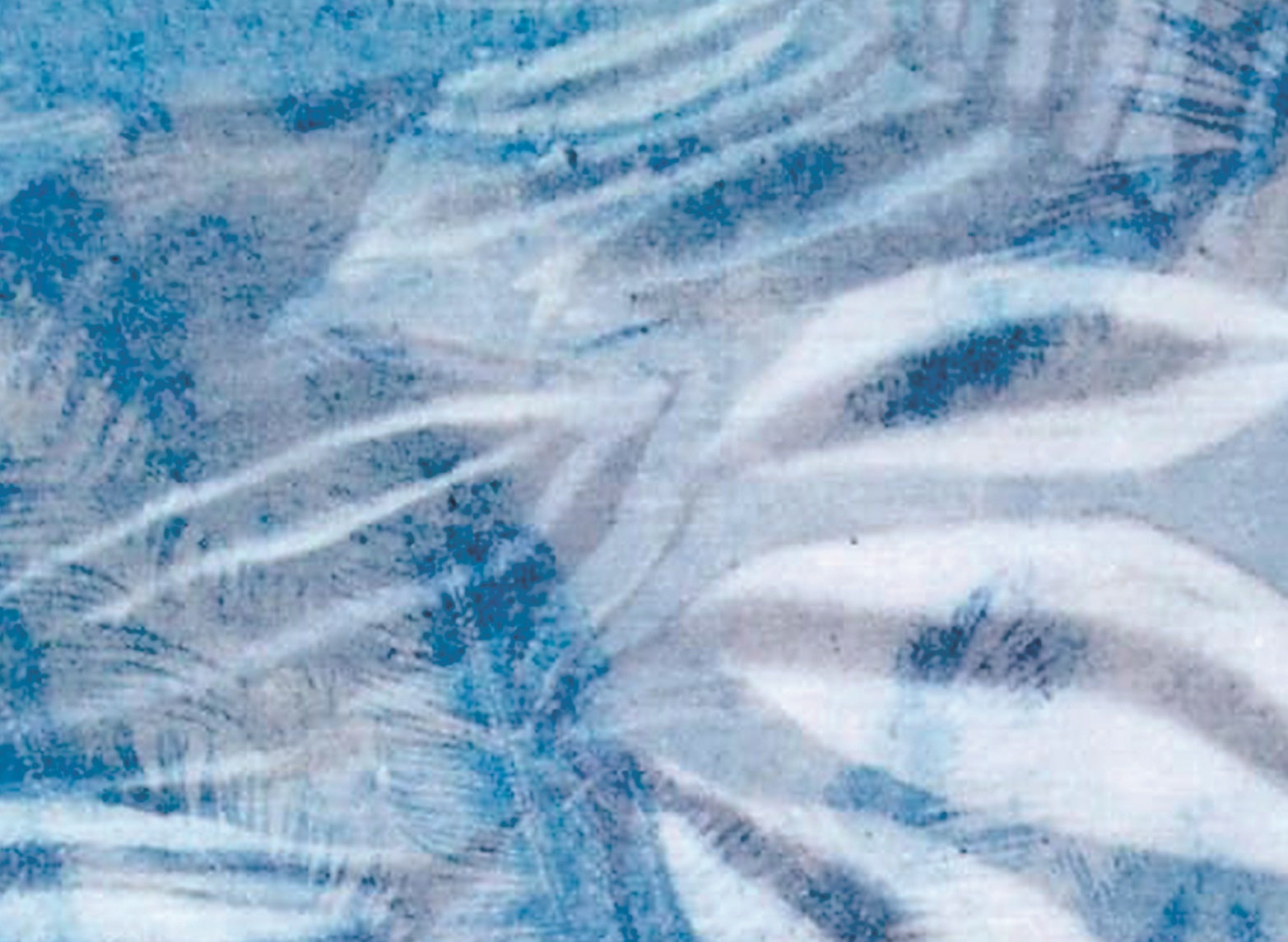 blue druck